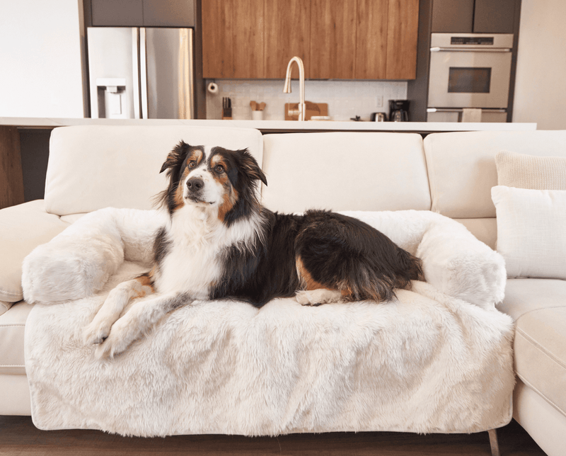Paw - PupProtector™ Waterproof Couch Lounger - Polar White Dog Beds Paw.com 