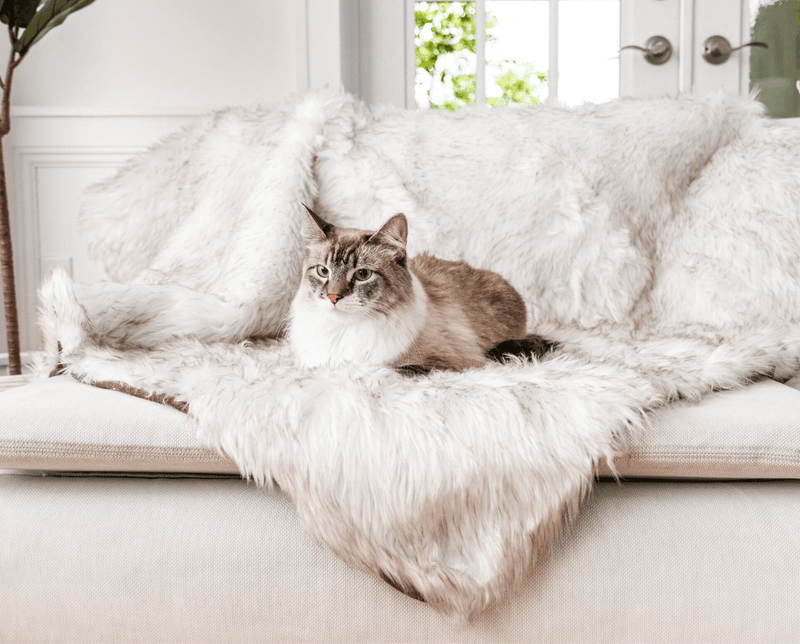 Paw - CatNap™ Anti-Scratch & Waterproof Throw Blanket - White with Brown Accents Cat Blankets Paw.com One Size (60" L x 50" W) 