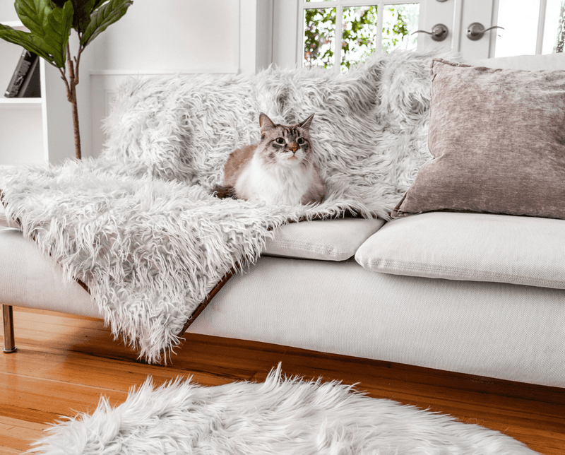 Paw - CatNap™ Anti-Scratch & Waterproof Throw Blanket - Grey Cat Blankets Paw.com One Size (60" L x 50" W) 