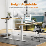 Walker Edison | Electric Height Adjustable Standing Desk Thumbnail