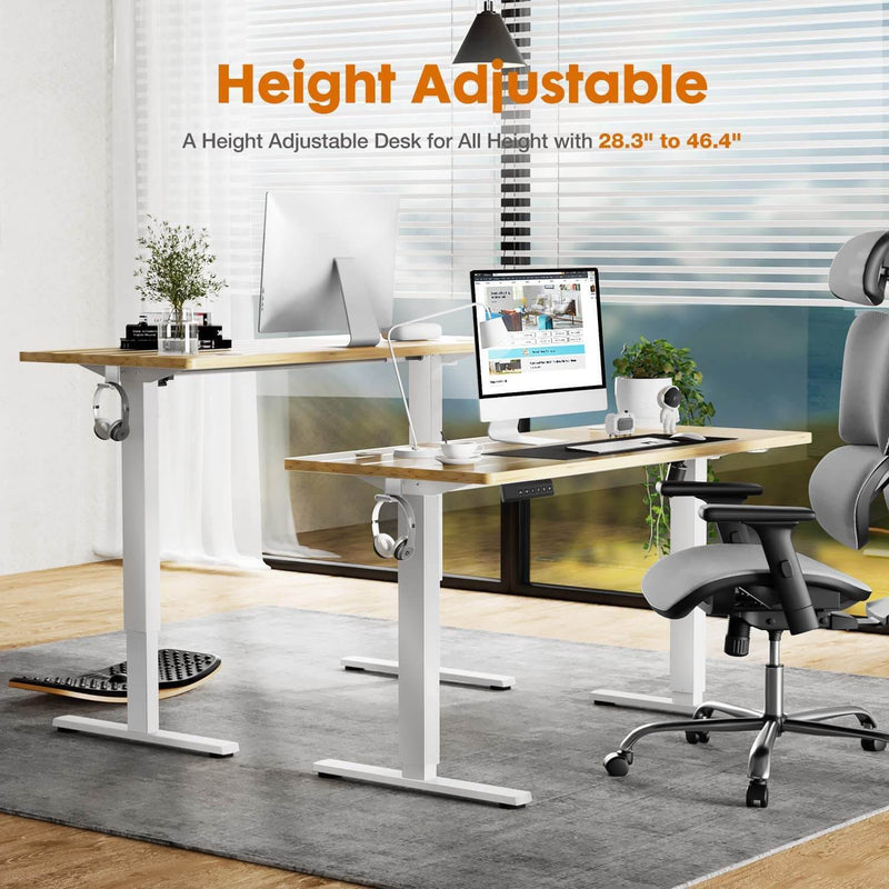 Walker Edison | Electric Height Adjustable Standing Desk