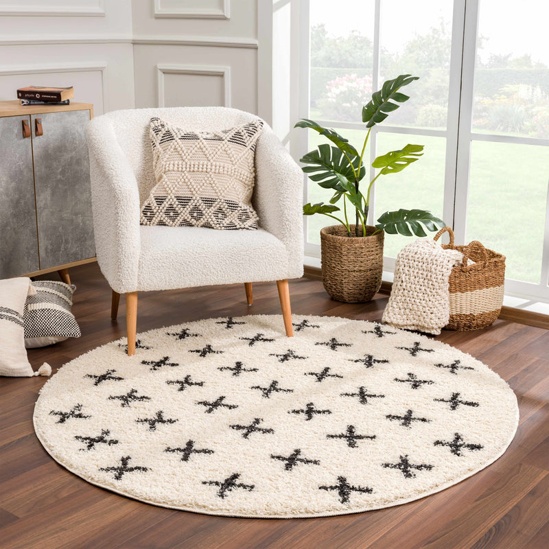 Alstead Shag Area Rug Rugs Boutique Rugs 