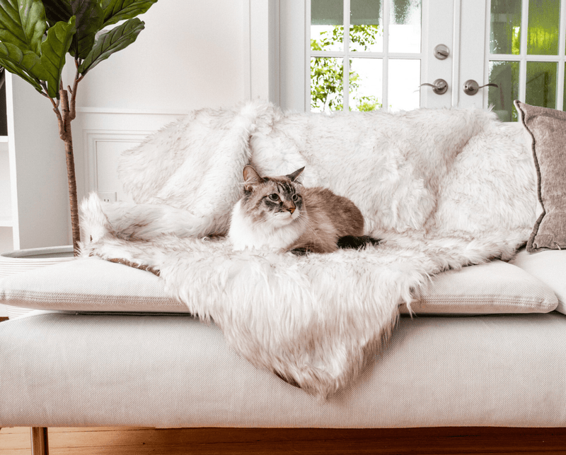 Paw - CatNap™ Anti-Scratch & Waterproof Throw Blanket - White with Brown Accents Cat Blankets Paw.com 