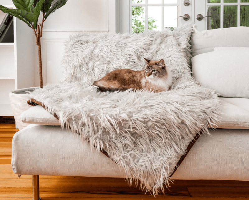 Paw - CatNap™ Anti-Scratch & Waterproof Throw Blanket - Grey Cat Blankets Paw.com 