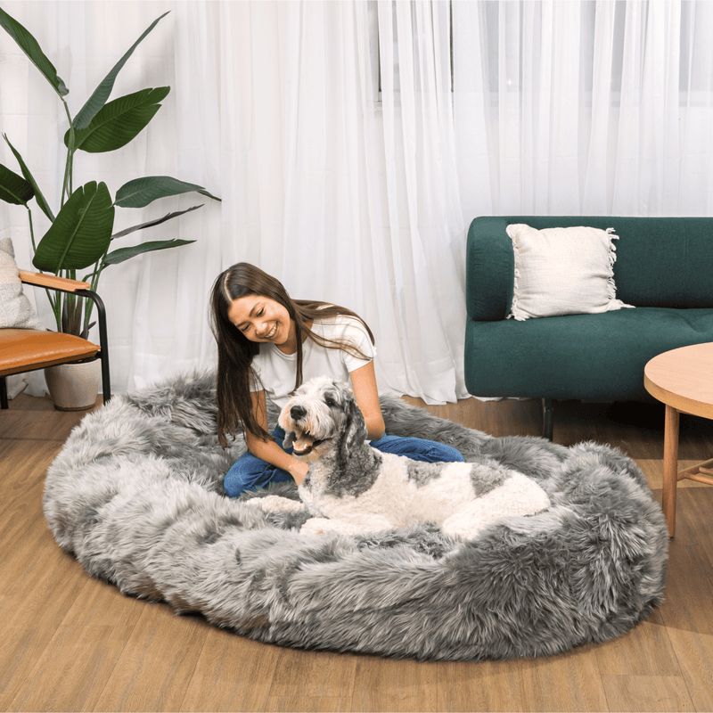 Paw - PupCloud™ Human-Size Faux Fur Memory Foam Dog Bed - Charcoal Grey Paw.com 