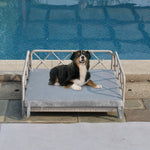 Walker Edison | Wicker Outdoor Pet Bed Thumbnail