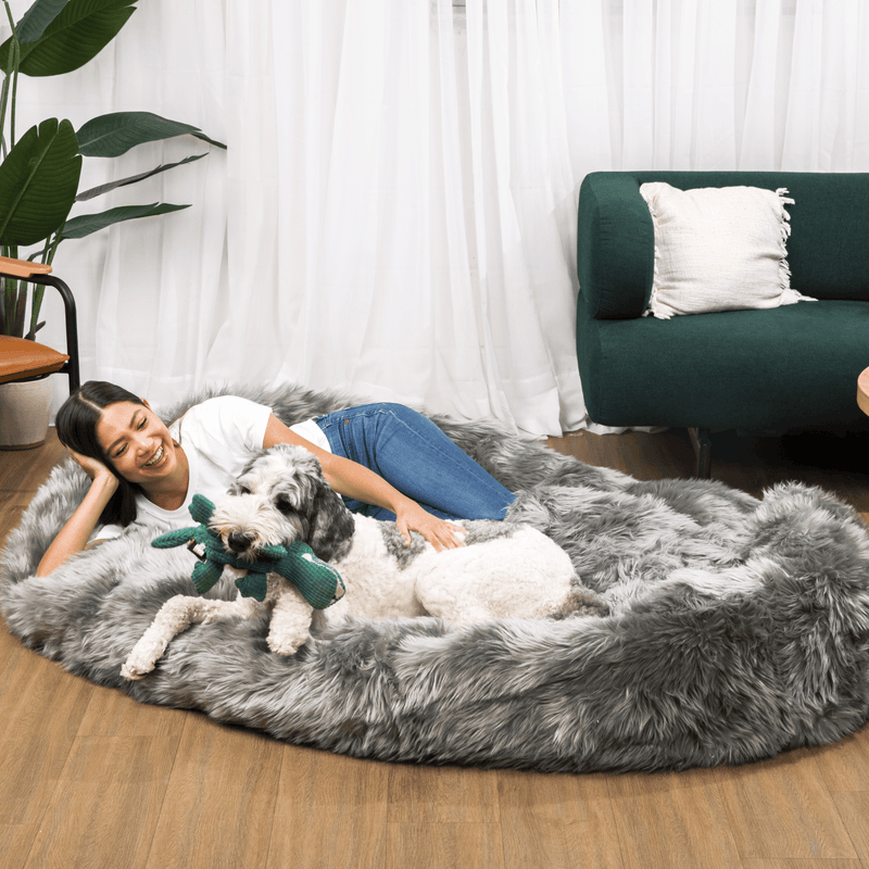 Paw - PupCloud™ Human-Size Faux Fur Memory Foam Dog Bed - Charcoal Grey Paw.com 