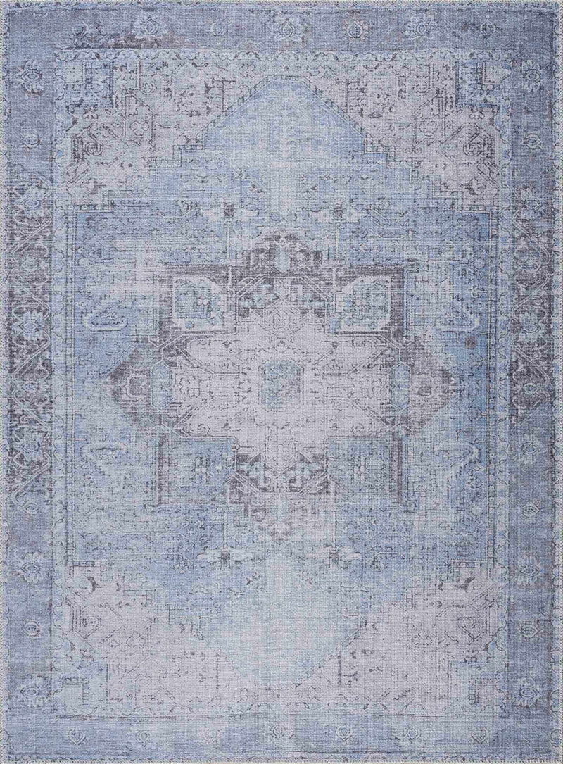 Boutique Rugs - Aqua Rosman Washable Runner & Area Rug Rugs Boutique Rugs 2' x 2'11" Rectangle 