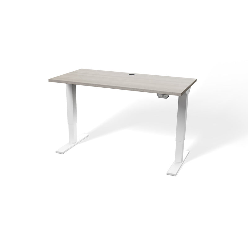 Walker Edison | Porvata BIOTEC™ 48" Height-Adjustable Desk