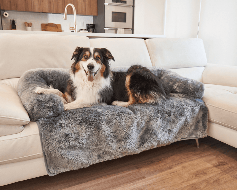 Paw - PupProtector™ Waterproof Couch Lounger - Charcoal Grey Dog Beds Paw.com 