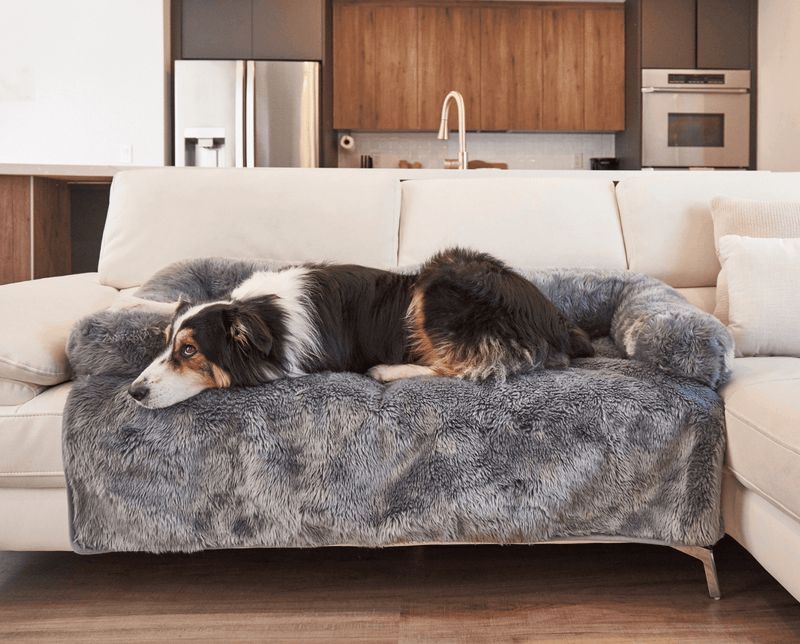 Paw - PupProtector™ Waterproof Couch Lounger - Charcoal Grey Dog Beds Paw.com 