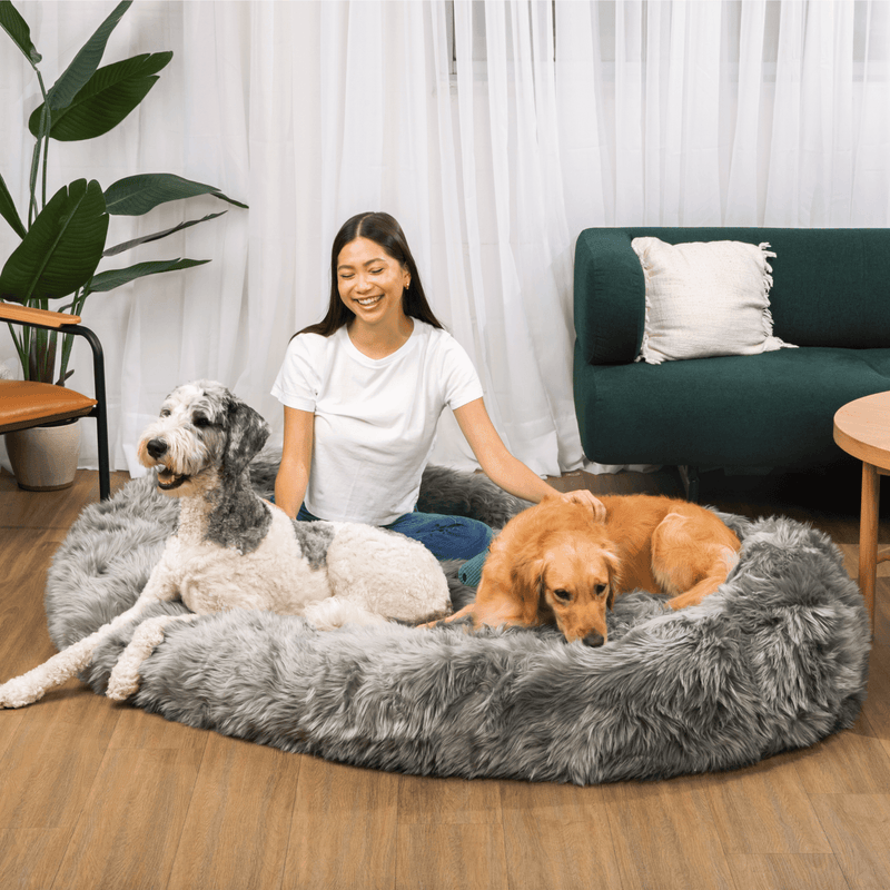 Paw - PupCloud™ Human-Size Faux Fur Memory Foam Dog Bed - Charcoal Grey Paw.com 