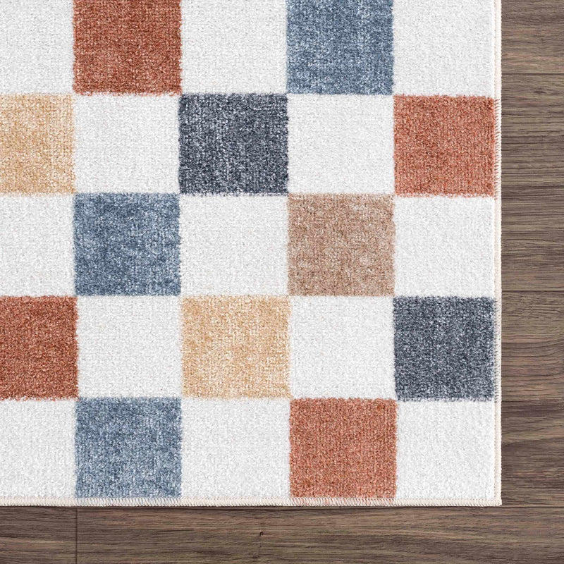 Alie Colorful Checkered Washable Rug Rugs Boutique Rugs 