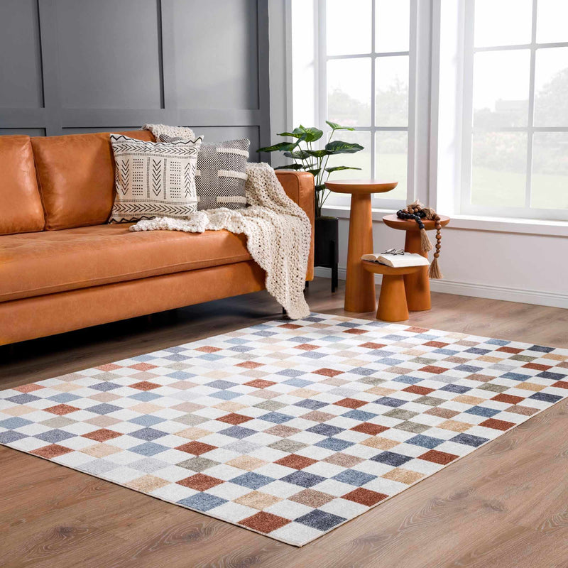 Alie Colorful Checkered Washable Rug Rugs Boutique Rugs 