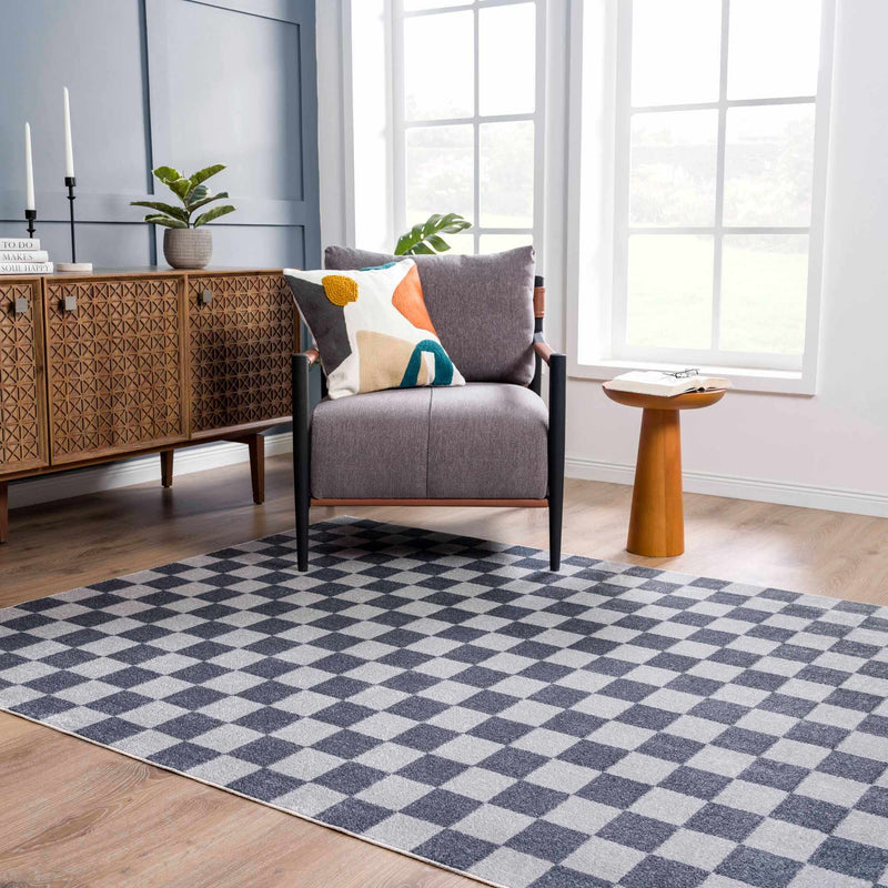 Alie Gray Checkered Washable Area Rug Rugs Boutique Rugs 