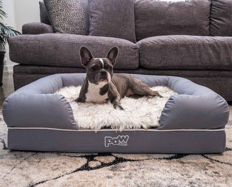 Paw - PupLounge™ Memory Foam Bolster Bed & Topper Dog Beds Paw.com 