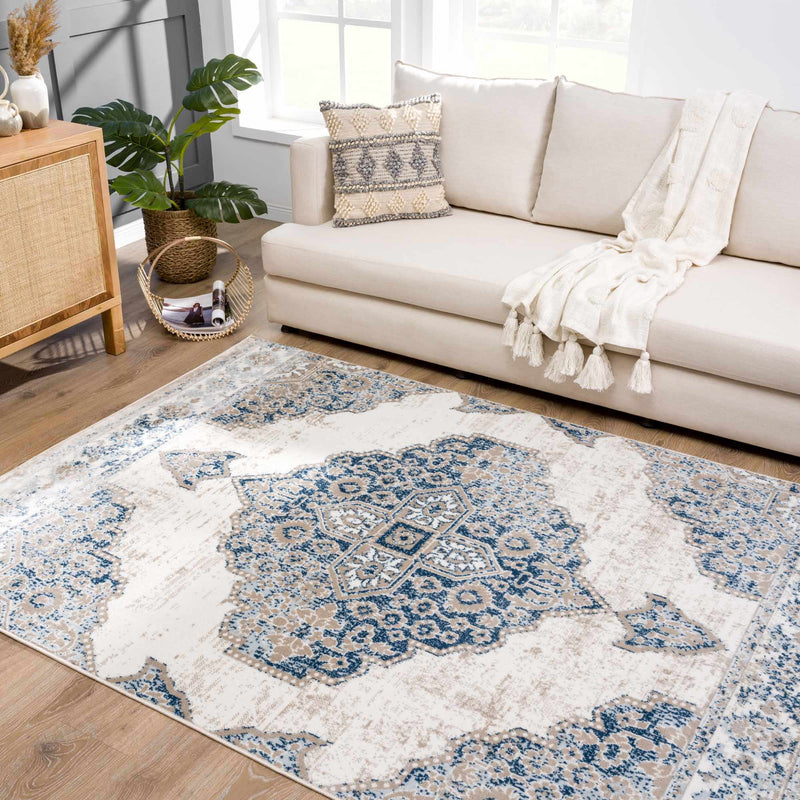 Boutique Rugs - Amir Area Rug Rugs Boutique Rugs 