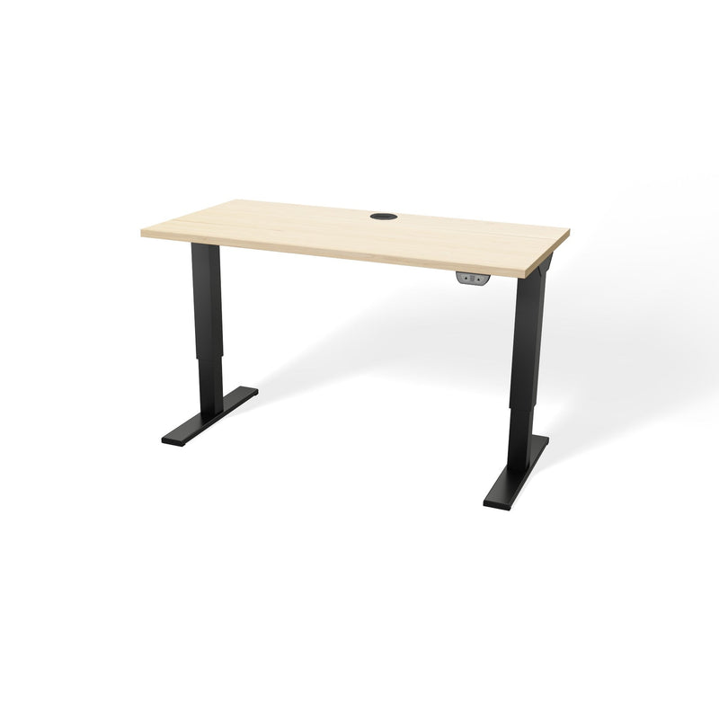 Walker Edison | Porvata BIOTEC™ 48" Height-Adjustable Desk