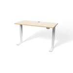 Walker Edison | Porvata BIOTEC™ 48" Height-Adjustable Desk Thumbnail