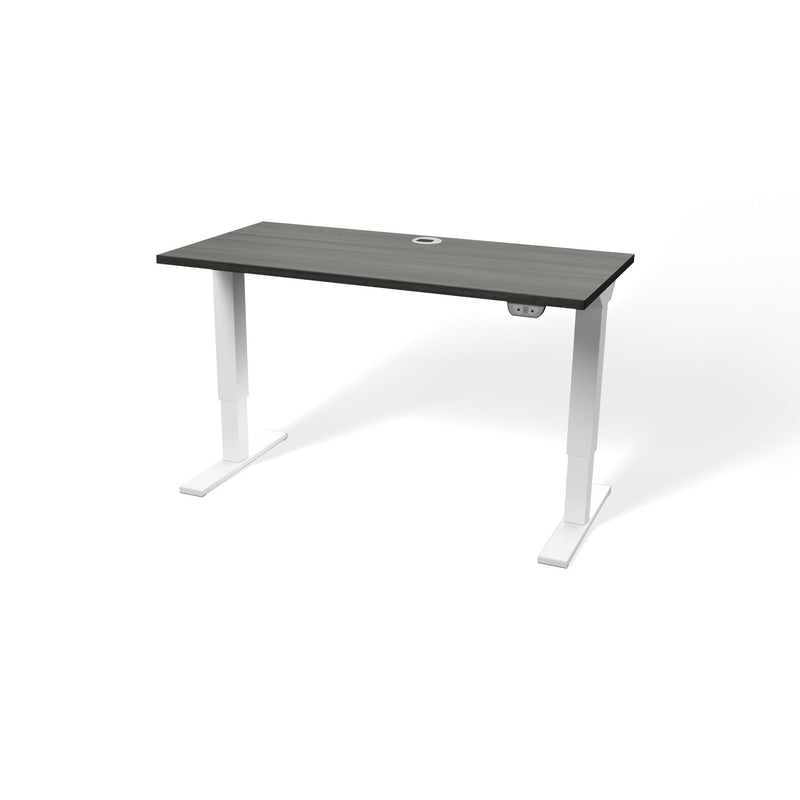 Walker Edison | Porvata BIOTEC™ 48" Height-Adjustable Desk