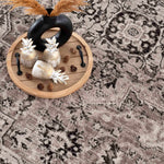 Boutique Rugs - Albie Beige Area Rug - Clearance Thumbnail