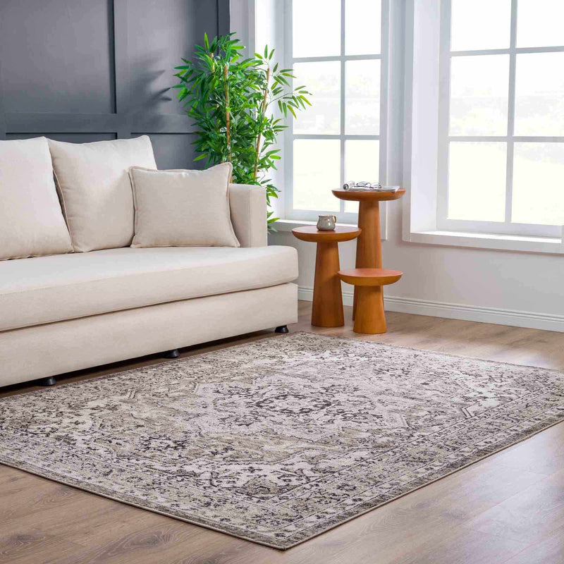 Boutique Rugs - Albie Beige Area Rug - Clearance