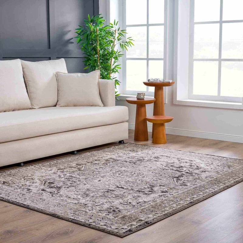 Boutique Rugs - Albie Charcoal & Beige Area Rug - Clearance