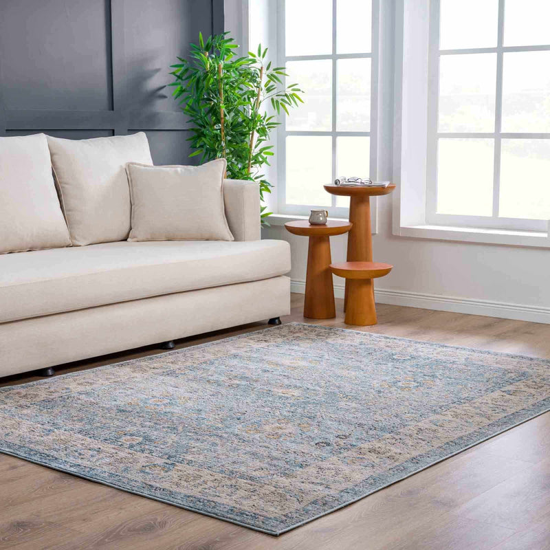 Boutique Rugs - Anana Silver Blue & Beige Area Rug Rugs Boutique Rugs 