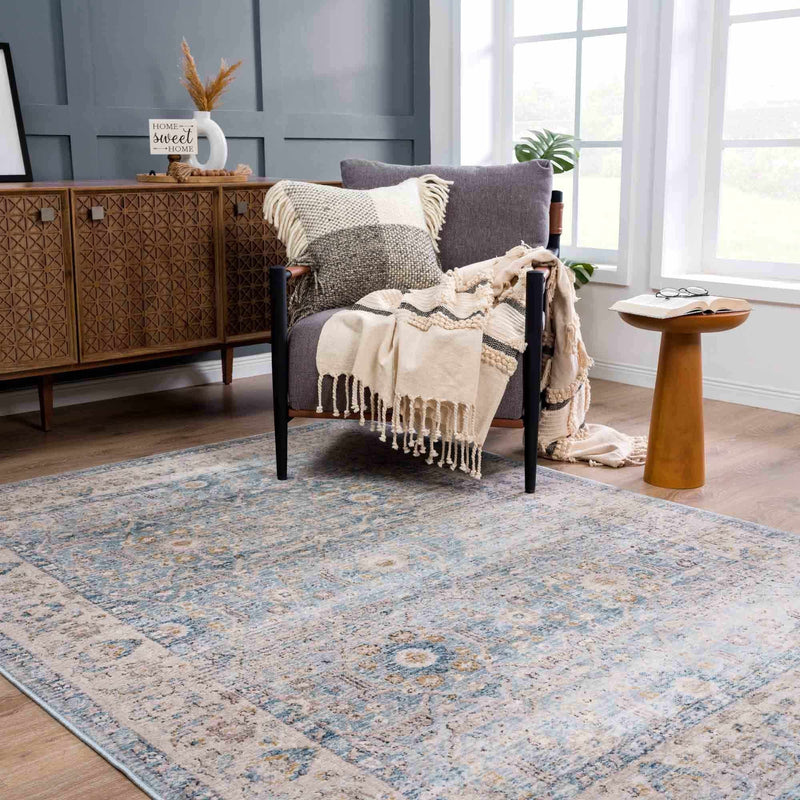 Boutique Rugs - Anana Silver Blue & Beige Area Rug Rugs Boutique Rugs 