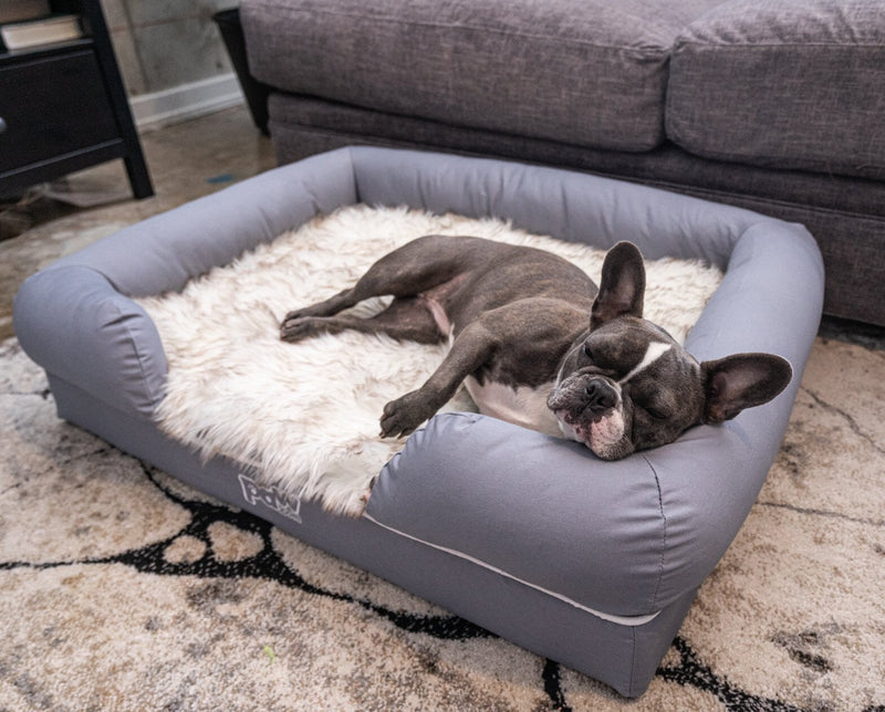 Paw - PupLounge™ Memory Foam Bolster Bed & Topper Dog Beds Paw.com Medium/Large - 36" L x 28" W x 9" H 