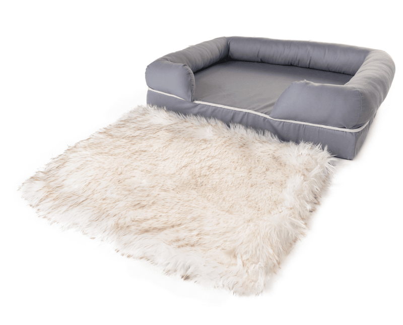 Paw - PupLounge™ Memory Foam Bolster Bed & Topper Dog Beds Paw.com 