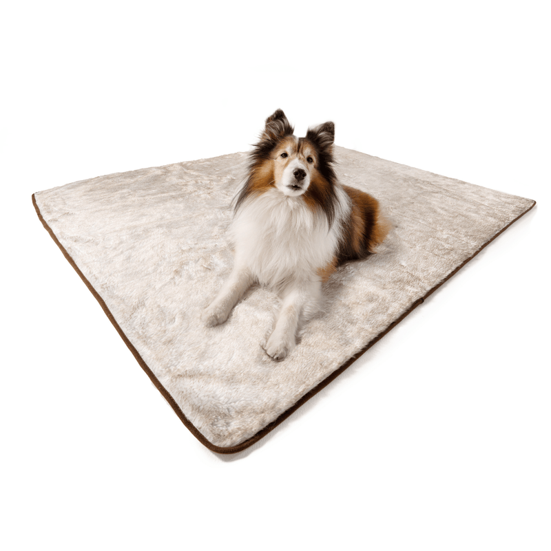 Paw - PupProtector™ Short Fur Waterproof Throw Blanket - White with Brown Accents Dog Blanket Paw.com 