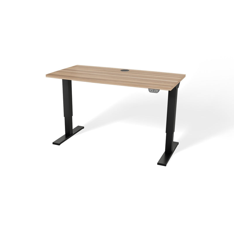 Walker Edison | Porvata BIOTEC™ 48" Height-Adjustable Desk