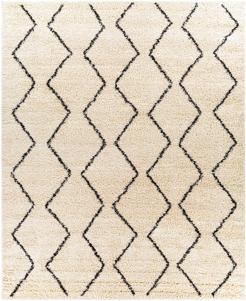Boutique Rugs - Assiniboia Moroccan Shag Rug Rugs Boutique Rugs 7'10" x 10' Rectangle 