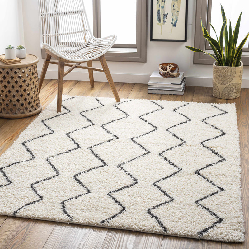 Boutique Rugs - Assiniboia Moroccan Shag Rug Rugs Boutique Rugs 