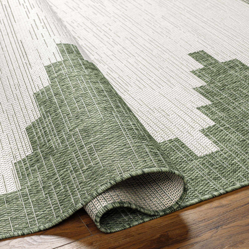 Boutique Rugs - Djugun Green Indoor & Outdoor Rug – Walker Edison