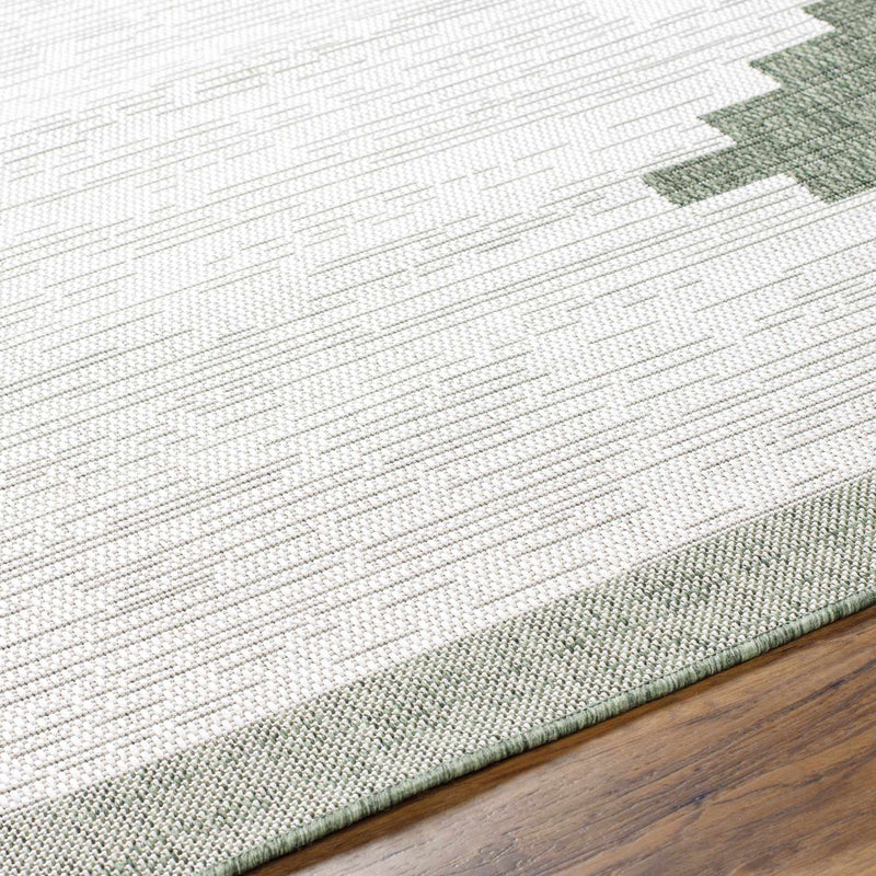 Boutique Rugs - Djugun Green Indoor & Outdoor Rug – Walker Edison