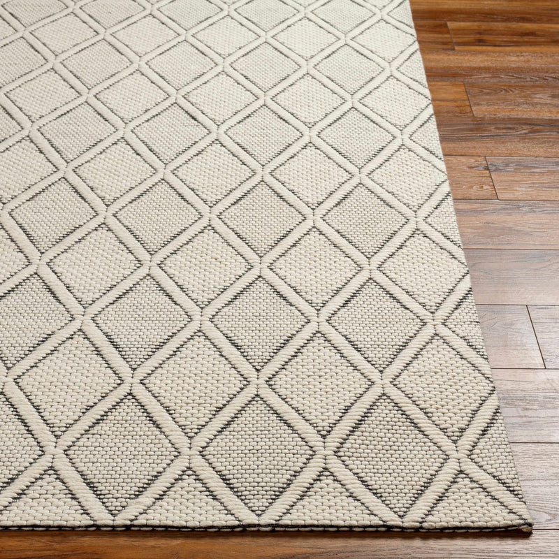 Boutique Rugs - Aeron Wool Area Rug Rugs Boutique Rugs 