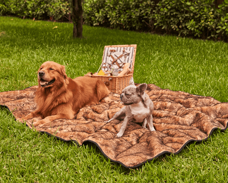 Paw - PupProtector™ Short Fur Waterproof Throw Blanket - Sable Tan Dog Blanket Paw.com 