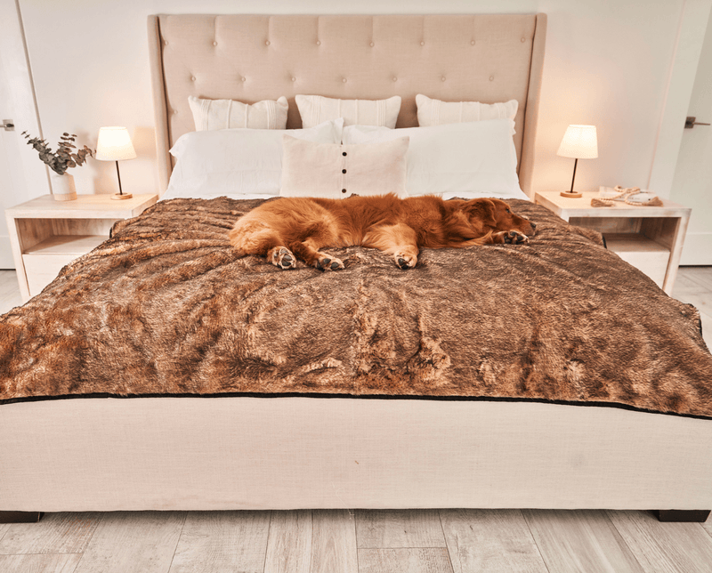 Paw - PupProtector™ Short Fur Waterproof Throw Blanket - Sable Tan Dog Blanket Paw.com Large (80"L X 62"W) 
